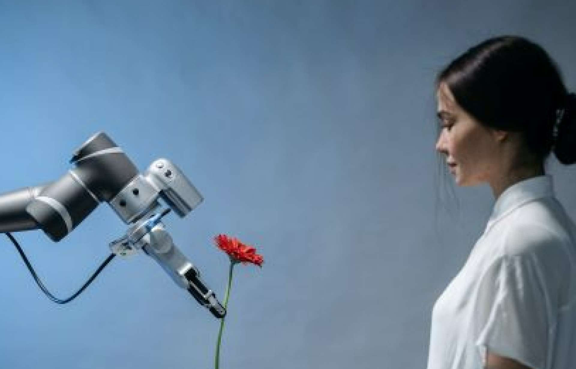 ¿Te quitará un robot tú trabajo? La IA y el futuro del mercado laboral